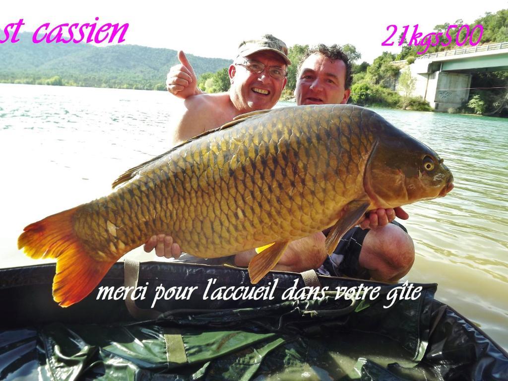 Gite De Saint Cassien Montauroux Exterior photo